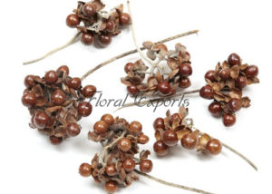 BABY WOOD ROSE NATURAL - Dried Flowers Manufacturer