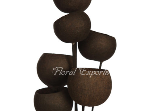 BELLCUP ON STICK BLACK – Dry Floral Canada