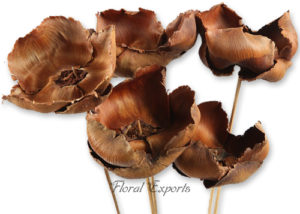 PALM CAP ON STICK - Dry Flowers India