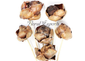 PALM TENDER FRUIT NATURAL ON STEM - Dry Floral Manufacturer