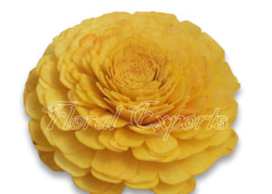 SOLA BELLY 10CM YELLOW