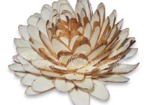 SOLA CHIPS DAHLIA 10CM