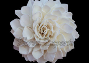 SOLA DAHLIA NATURAL