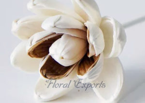 SOLA DESIGN MINI MONGOLIA - Sola Wood Flowers with Stems