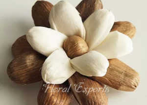 SOLA LOVELY FLOWER - Sola Wood Flowers Wholesale