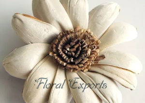 SOLA OPOSIT TRINABH FLOWER - Balsa Wood Flowers with Stems