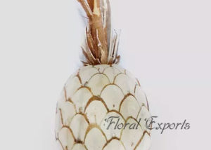 SOLA SLICE PINEAPPLE