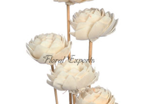 Sola Lotus Type # 2 on Wood Stem