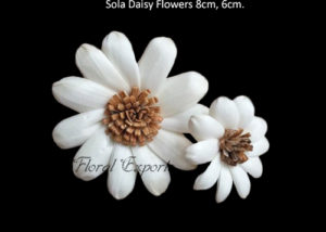 Sola Wood Flowers USA