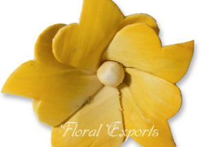 Sola Flowers Design No 88 - Sola Flowers USA
