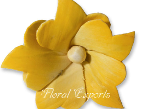 Sola Flowers USA