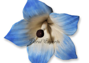 Sola Flowers Design No 89 - Sola Flowers Canada