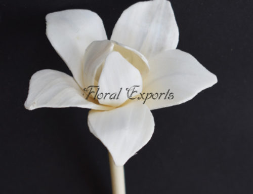 Sola Flower Diffuser