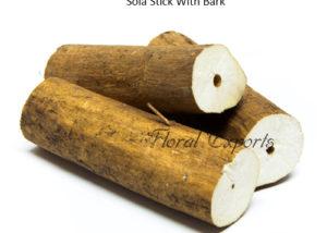 Sola Stick With Bark - Bird toy making parts Canada